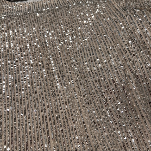 🪩✨NWT Loft Sequin V Neck Flutter Top in XS - Picture 5 of 7